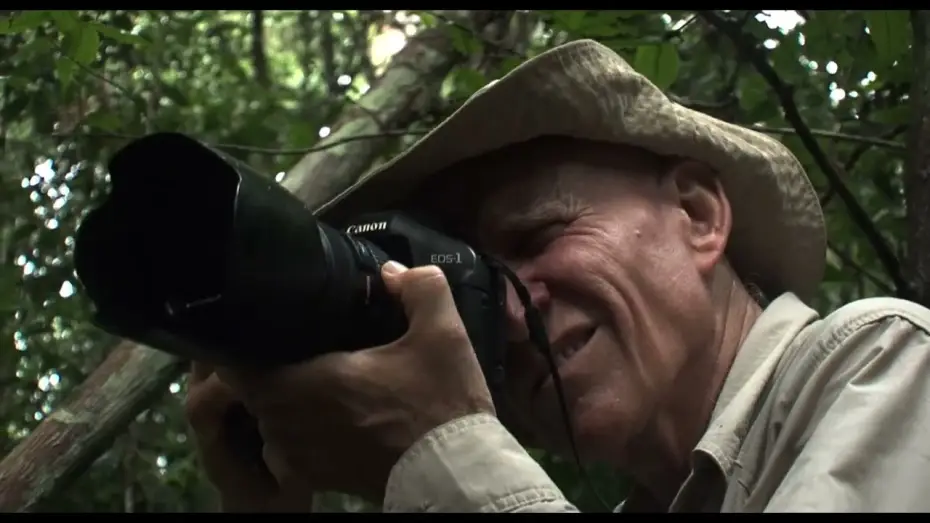 Watch film The Salt of the Earth — IL SALE DELLA TERRA torna al cinema il 28 maggio | Trailer