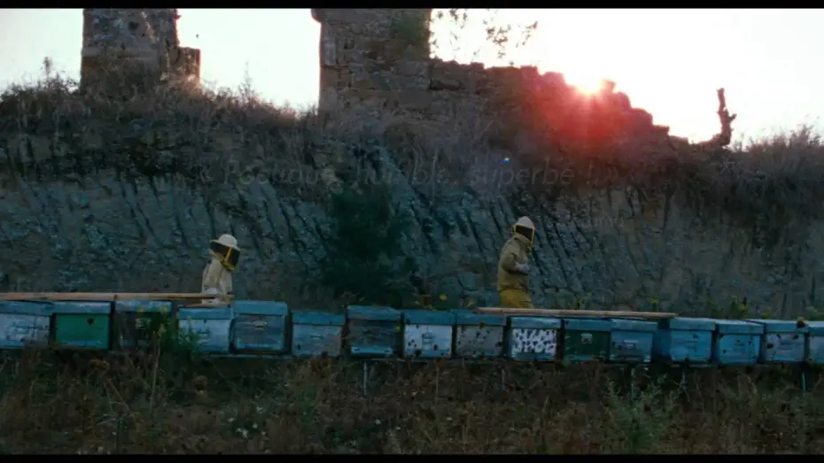 Watch film The Wonders — Les Merveilles - Bande Annonce VOST