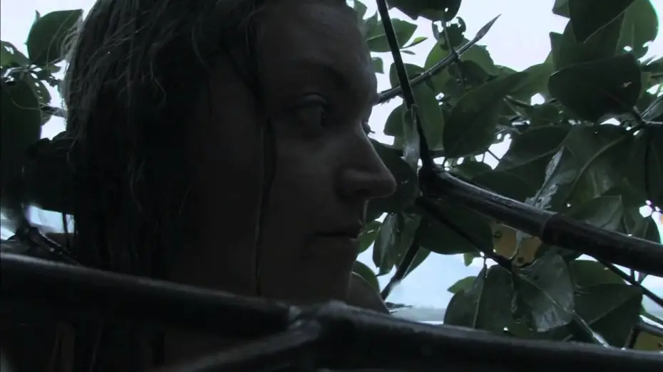 Watch film Filosofía natural del amor — Trailer, Filosofía natural del amor