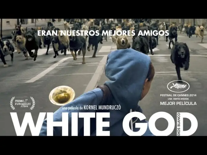 Watch film White God — WHITE GOD (DIOS BLANCO) - Tráiler en español HD