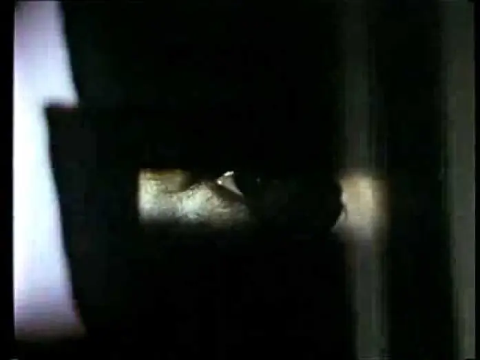 Watch film The Custodian — 'The Custodian' (1993) Trailer