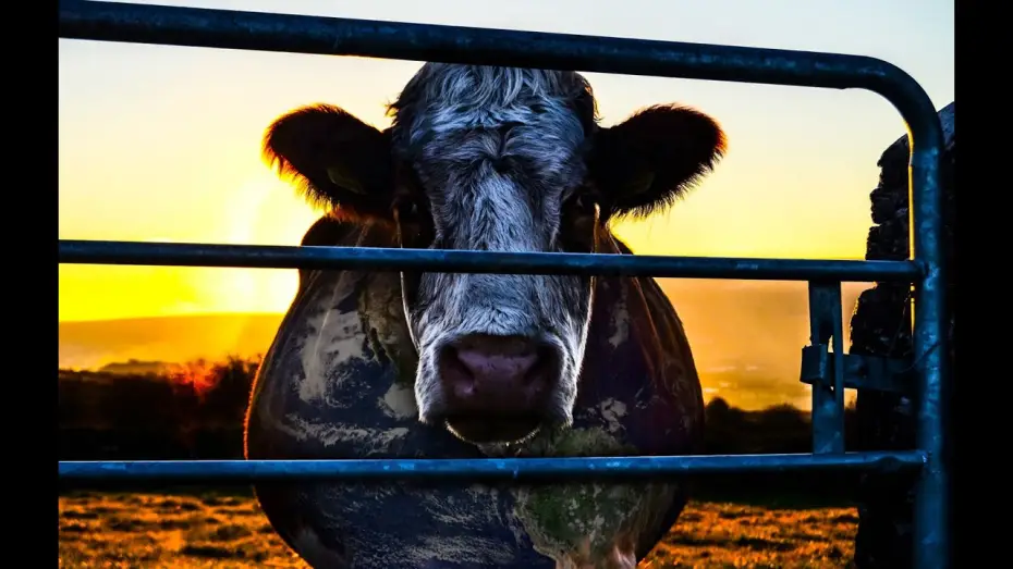 Watch film Cowspiracy: The Sustainability Secret — COWSPIRACY - Official Teaser 1 - HD