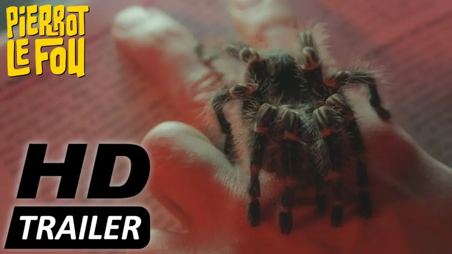 Watch film The Editor — THE EDITOR | Trailer deutsch | Jetzt erhältlich!
