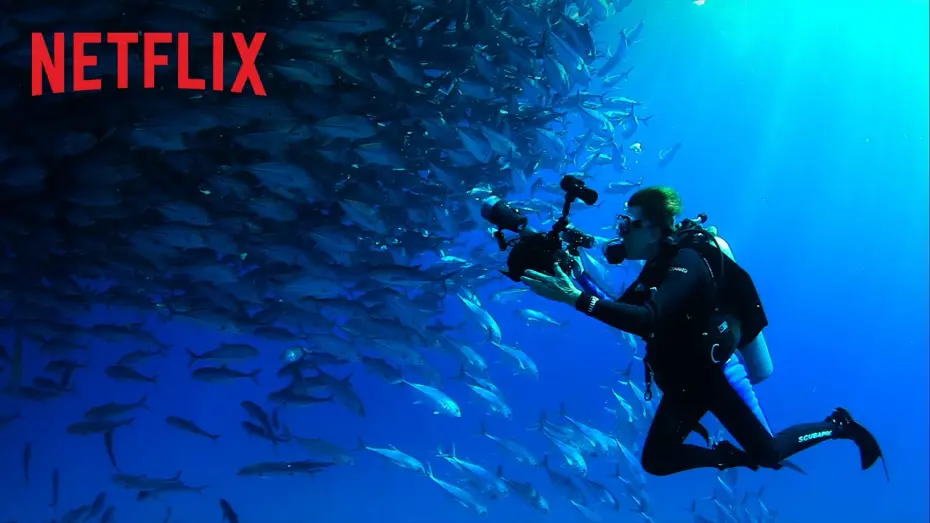 Watch film Mission Blue | Bande-annonce [VOSTFR]