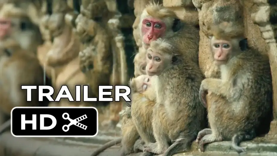 Watch film Monkey Kingdom — Monkey Kingdom Official Trailer #1 (2015) - Disneynature Documentary HD