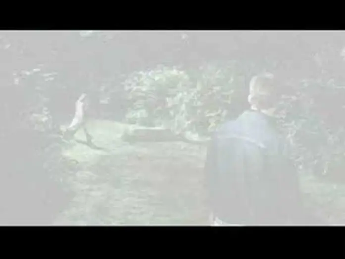 Watch film Jenifer | Masters of Horror - Jenifer - trailer