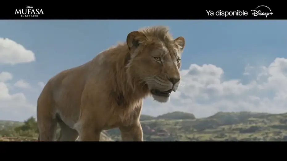 Watch film Mufasa: The Lion King | Ya disponible en Disney+