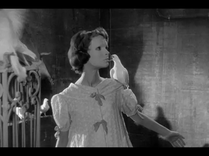 Watch film Eyes Without a Face — Sam Hamm on Eyes Without a Face