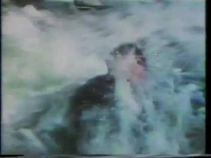 Watch film Beyond the Poseidon Adventure — Beyond the Poseidon Adventure 1979 TV trailer