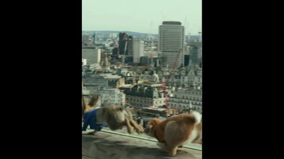 Watch film Peter Rabbit | PETERRABBIT motion 768x1360 tablet