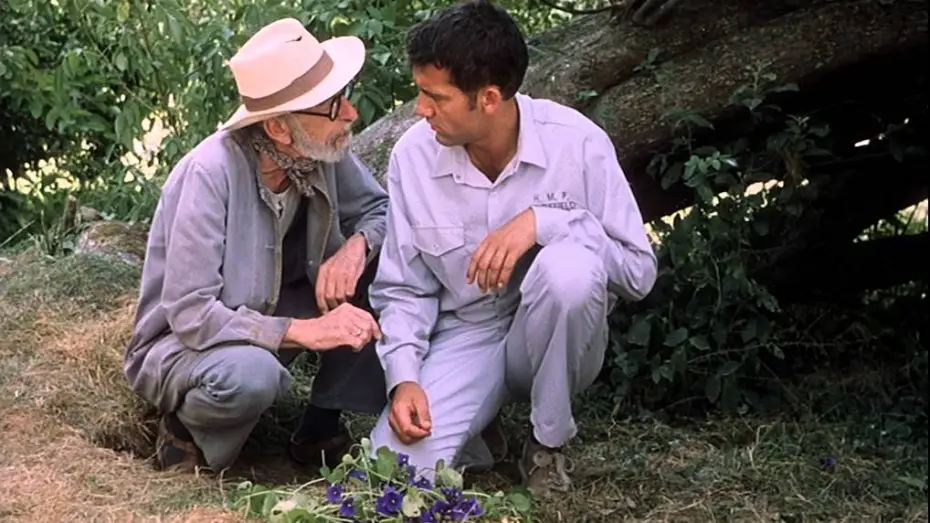 Watch film Greenfingers — Greenfingers - Harte Jungs und zarte Triebe - Trailer