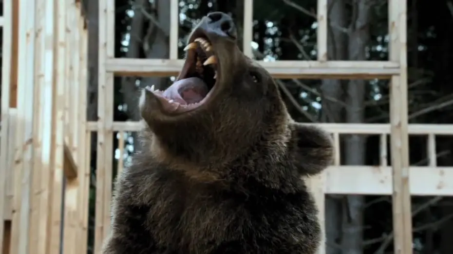 Watch film Furry Vengeance — Trailer ufficiale di PUZZOLE ALLA RISCOSSA - Dal 7 maggio al cinema