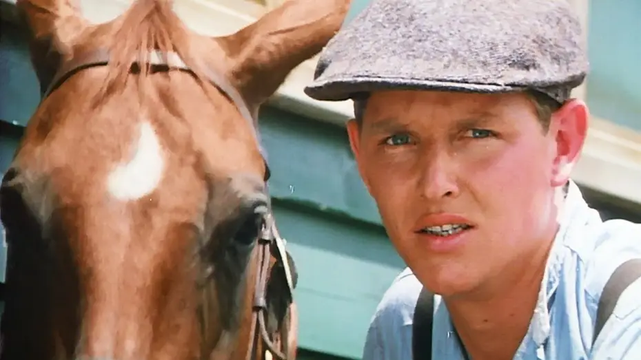 Watch film Phar Lap — Phar Lap (1983) ORIGINAL TRAILER