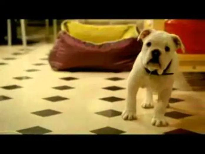 Watch film Tresor — Tresor 2009 Trailer.flv
