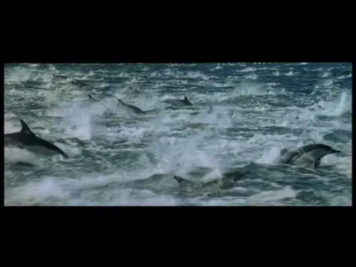 Watch film Oceans — OCEANOS