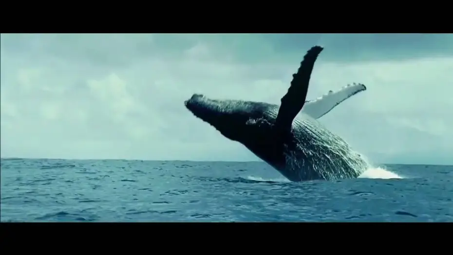 Watch film Oceans — unsere ozeane trailer HD