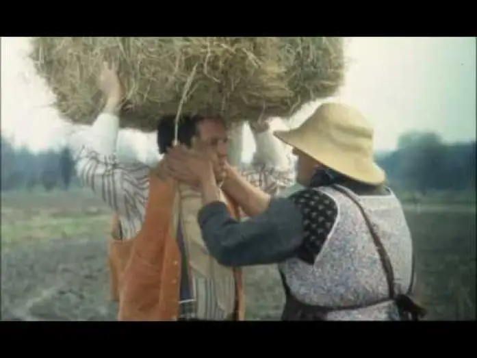 Watch film The Country Boy — Trailer Il Ragazzo Di Campagna (Renato Pozzetto) by IlFilmografo