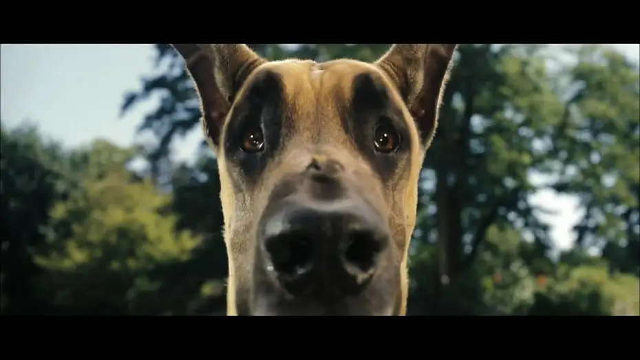 Watch film Marmaduke — Marmaduke Trailer [german] HD