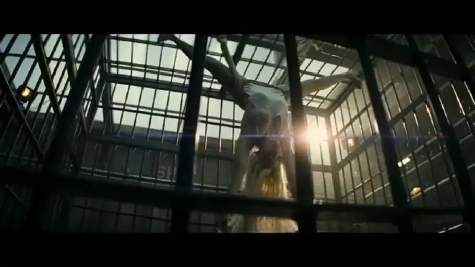 Watch film Suicide Squad — Escuadrón Suicida - Trailer Oficial Comic-con español HD