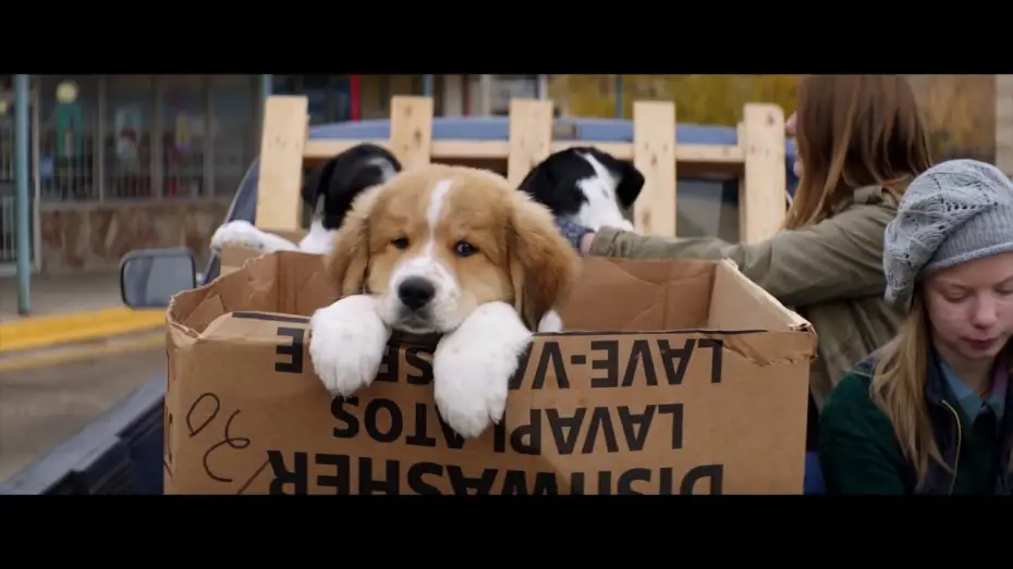 Watch film A Dog's Purpose | MES VIES DE CHIEN - Bande annonce - VF