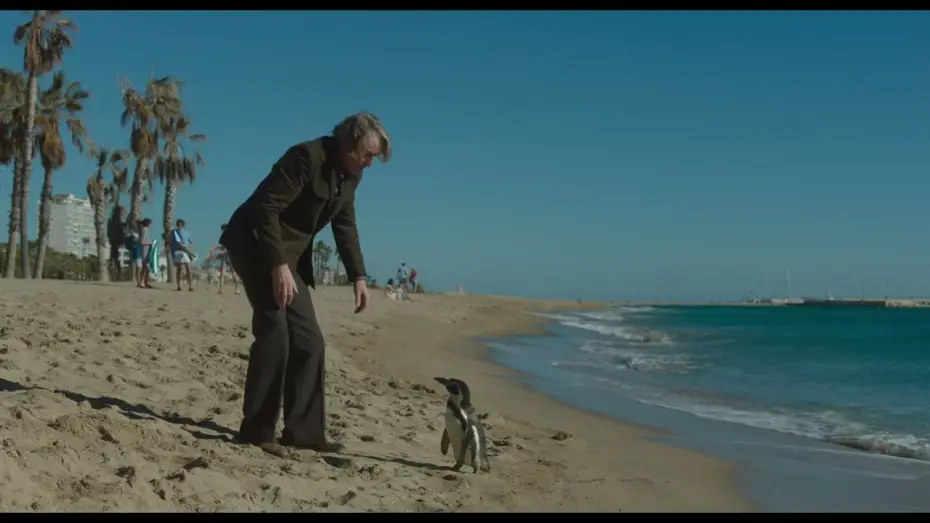 Watch film The Penguin Lessons — Clip