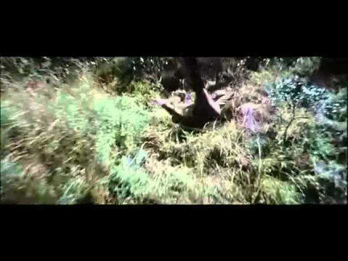 Watch film The Rundown | Welcome to the Jungle - Trailer Deutsch