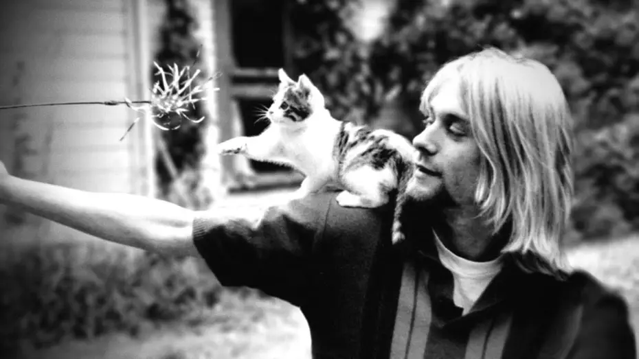 Watch film Cobain: Montage of Heck — Cobain: Montage of Heck - Trailer
