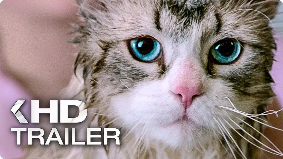 Watch film Nine Lives — NINE LIVES Exklusiv Trailer German Deutsch (2016)