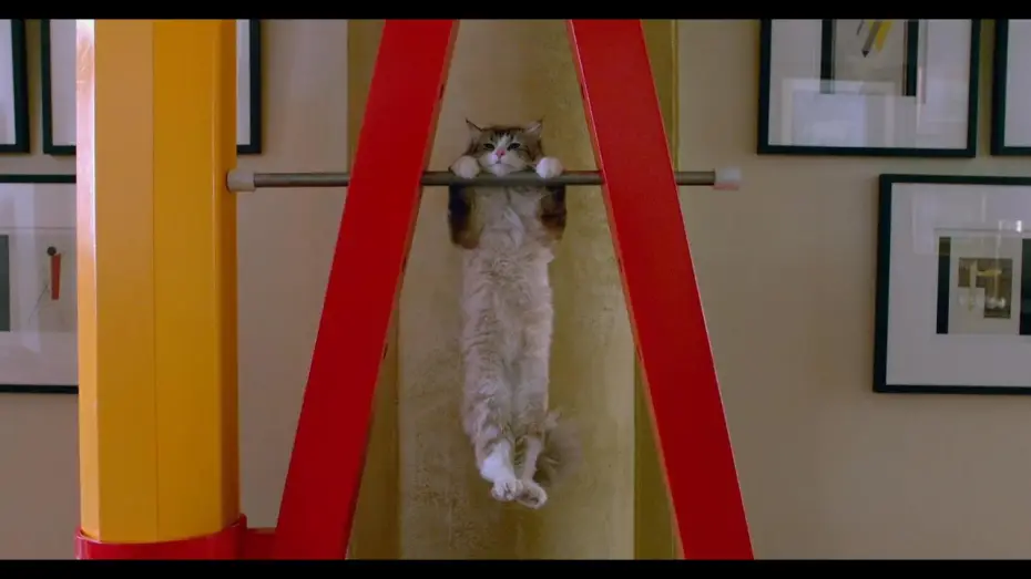Watch film Nine Lives — JAK ZOSTAĆ KOTEM - oficjalny zwiastun nr 2