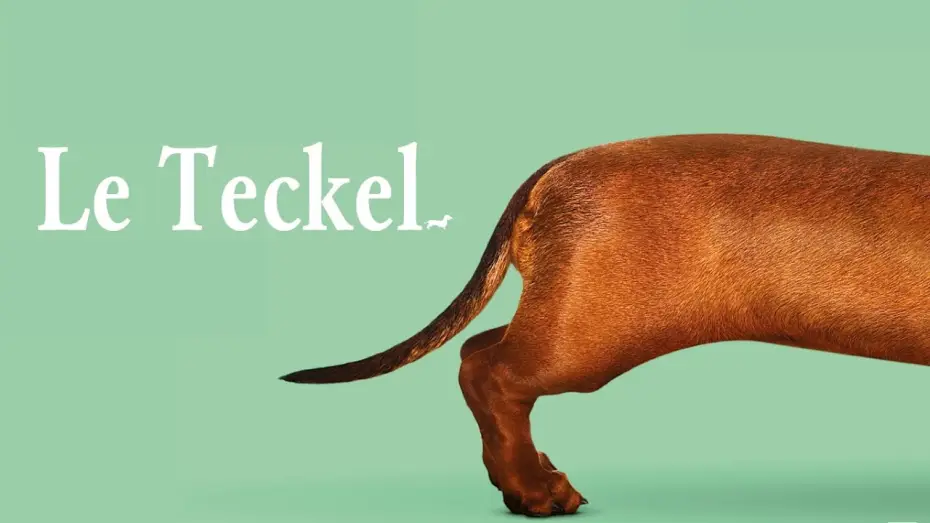 Watch film Wiener-Dog | Le Teckel - BANDE ANNONCE VOST