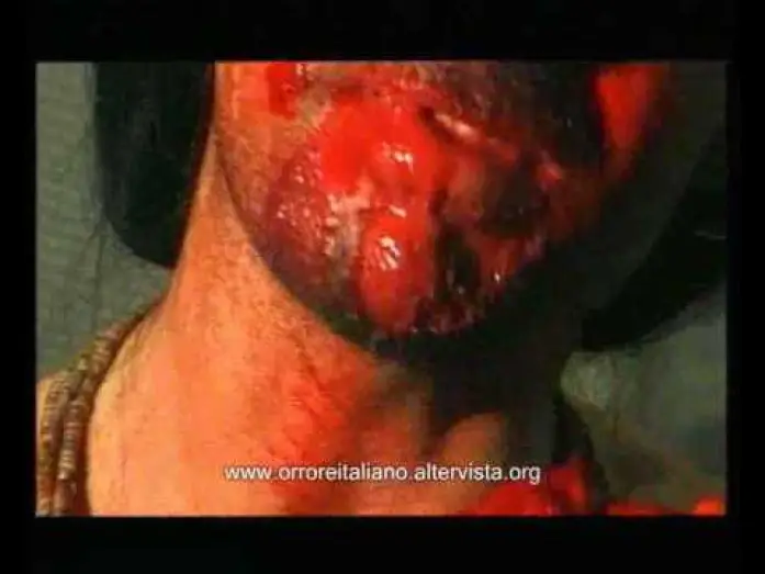 Watch film Anabolyzer — Anabolyzer (trailer)
