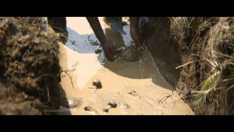 Watch film Ladygrey — LadyGrey - Bande Annonce VOST
