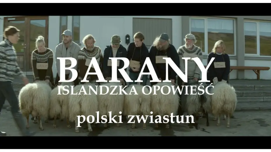 Watch film Rams — Barany. Islandzka opowieść - zwiastun PL, zobacz na VOD, na DVD od 9 września 2016