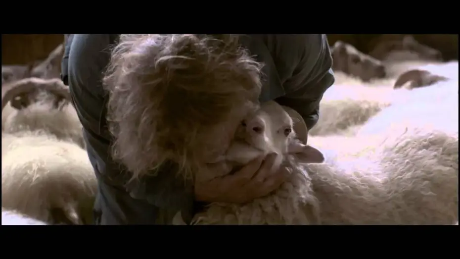 Watch film Rams — RAMS - Trailer italiano