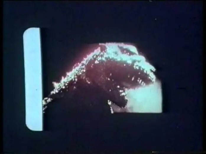Watch film Godzilla — GODZILLA DI LUIGI COZZI (1977)