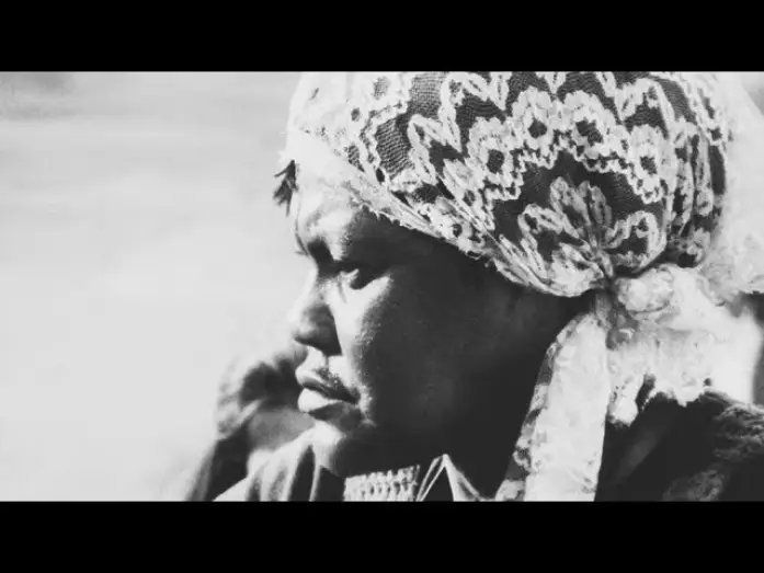 Watch film O Tigre e a Gazela — O Tigre e a Gazela  (1977) de  Aloysio Raulino