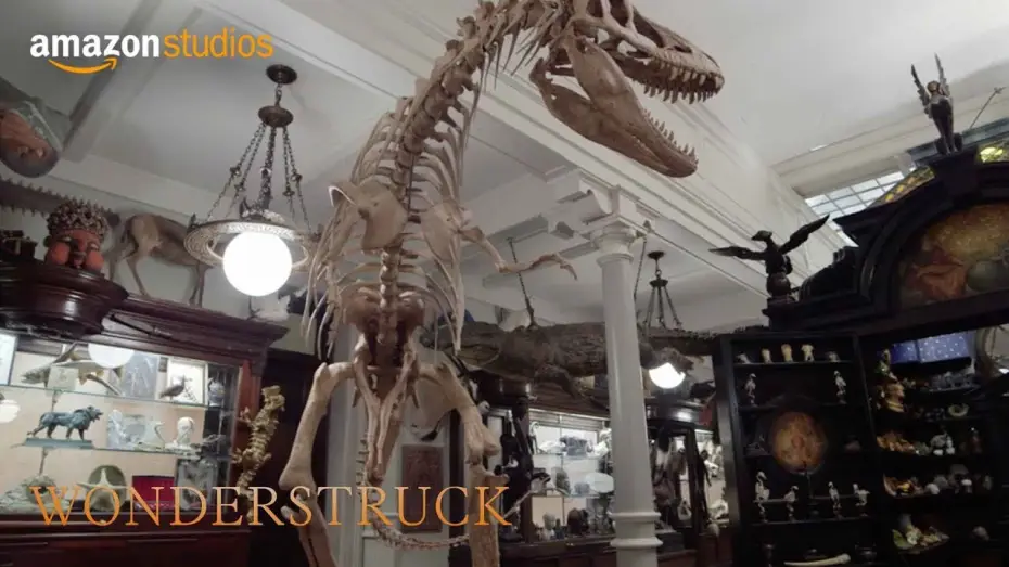 Watch film Wonderstruck — Wonderstruck - Featurette: Cabinet of Wonders | Amazon Studios