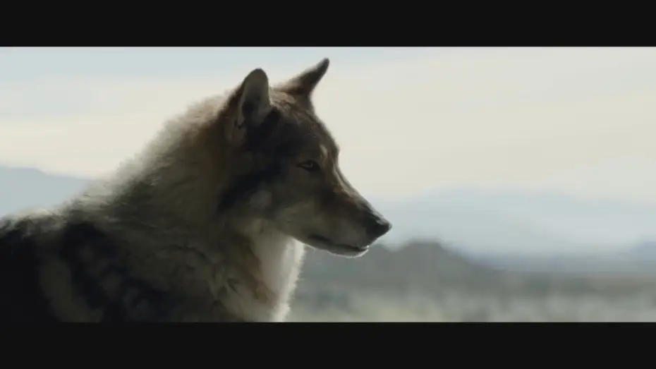 Watch film Alpha — ALPHA - Filmclip deutsch "Friedensangebot" | Ab 7.9.2018 nur im Kino