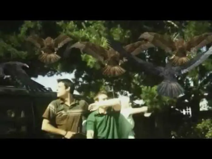 Watch film Birdemic: Shock and Terror — Birdemic-The most epic scene ever filmed