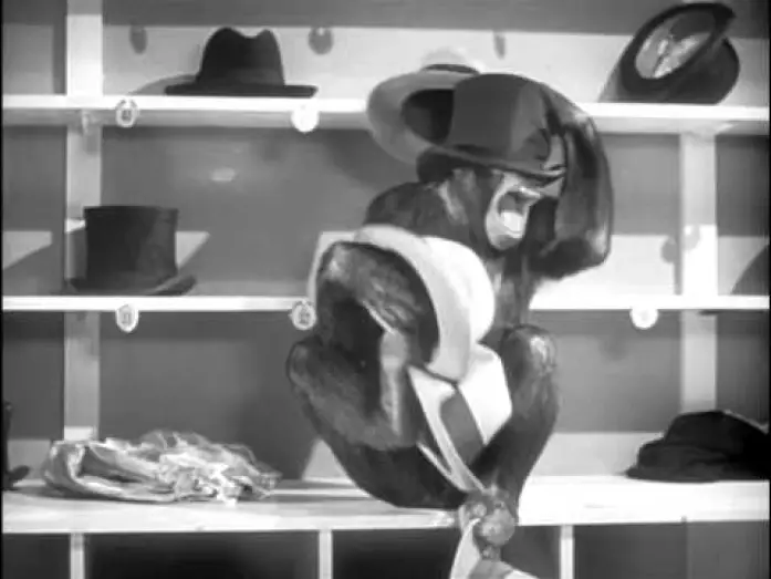 Watch film Tarzan's New York Adventure — Tarzan's New York Adventure Official Trailer #1 - Virginia Grey Movie (1942) HD
