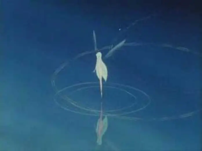 Watch film Sea Prince and the Fire Child — Trailer for Legend of Sirius (1981)