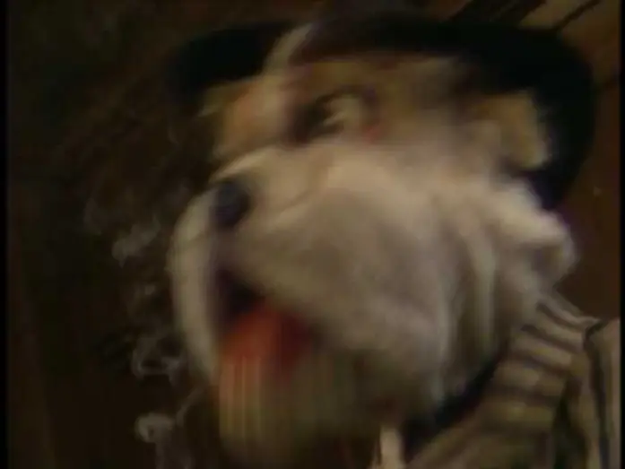 Watch film Dog City — Trailer - Dog City - The Jim Henson Company