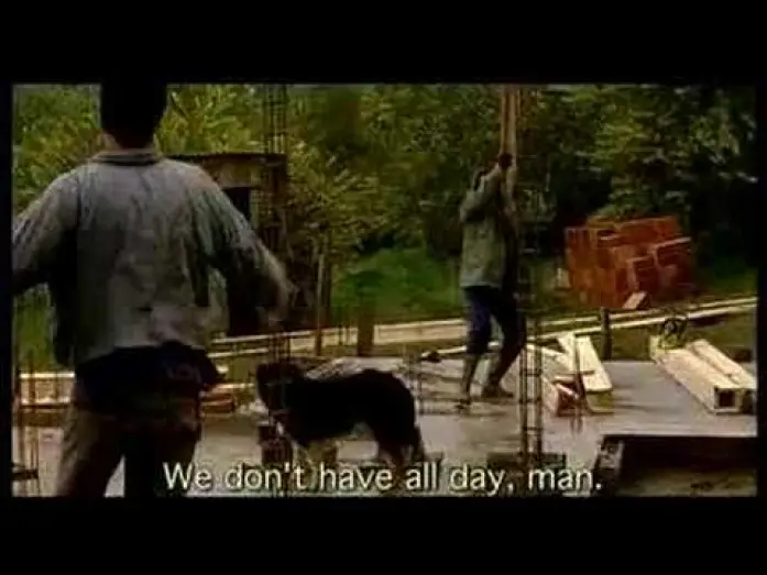 Watch film Dog Pound — La Perrera (The Dog Pound) - Trailer Official