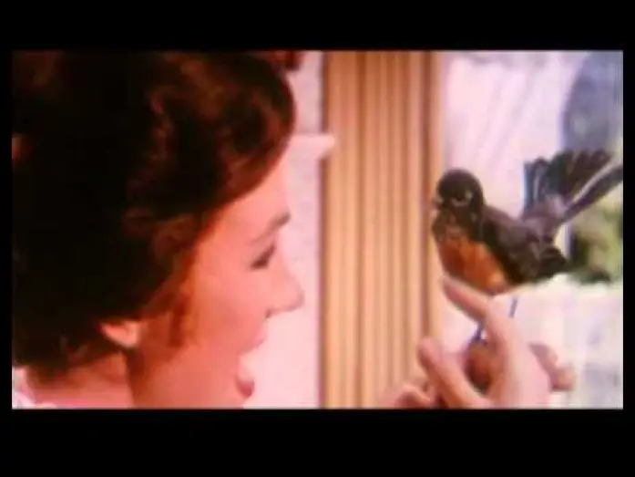 Watch film Mary Poppins — Mary Poppins - Bande annonce officielle FR
