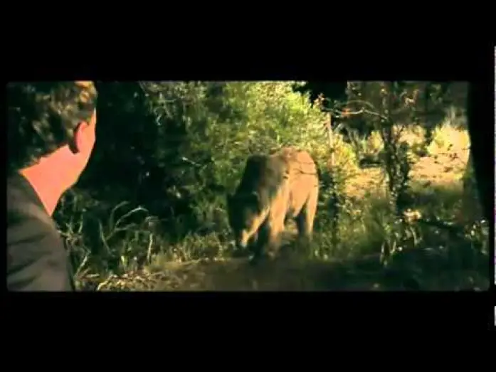 Watch film Bear — Bear - Trailer (OmU)