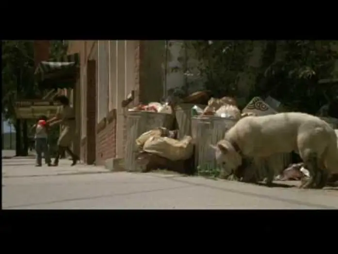 Watch film White Dog — White Dog (1982) Theatrical Trailer