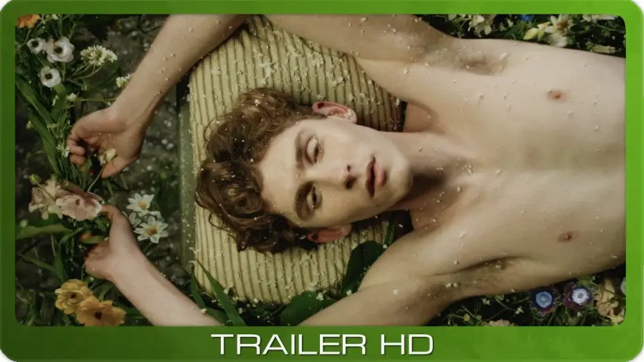 Watch film Lilies Not for Me | Lilies Not for Me ≣ 2024 ≣ Trailer ≣ German | Deutsch ≣ OmU