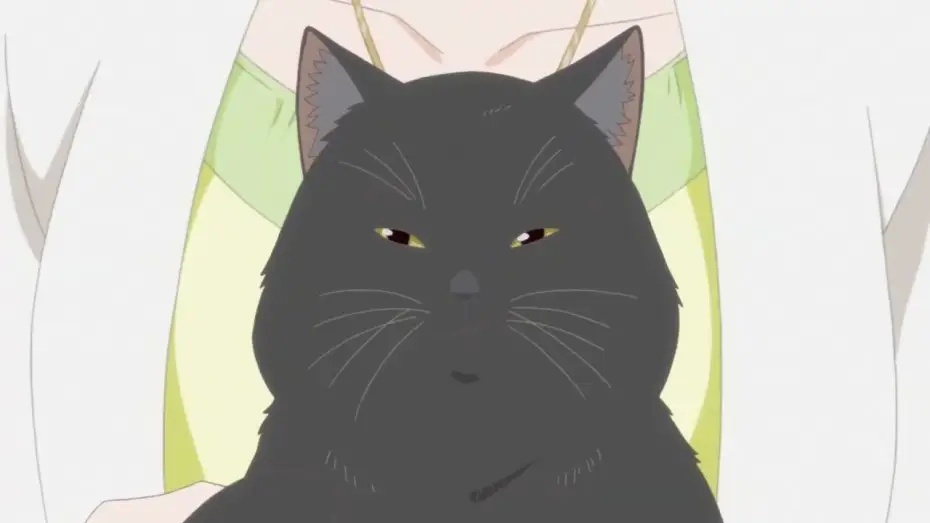 Watch film She and Her Cat: Everything Flows — She and Her Cat (Trailer)
