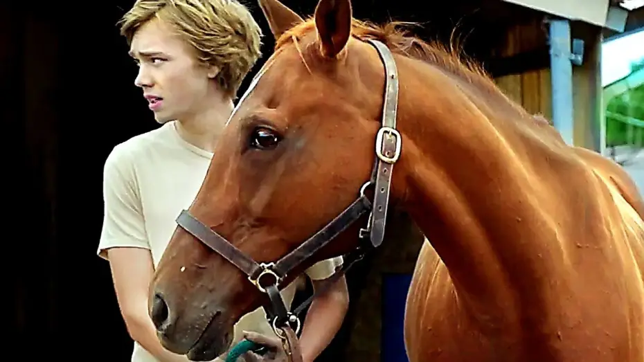 Watch film Lean on Pete — LA ROUTE SAUVAGE Bande Annonce (2018)