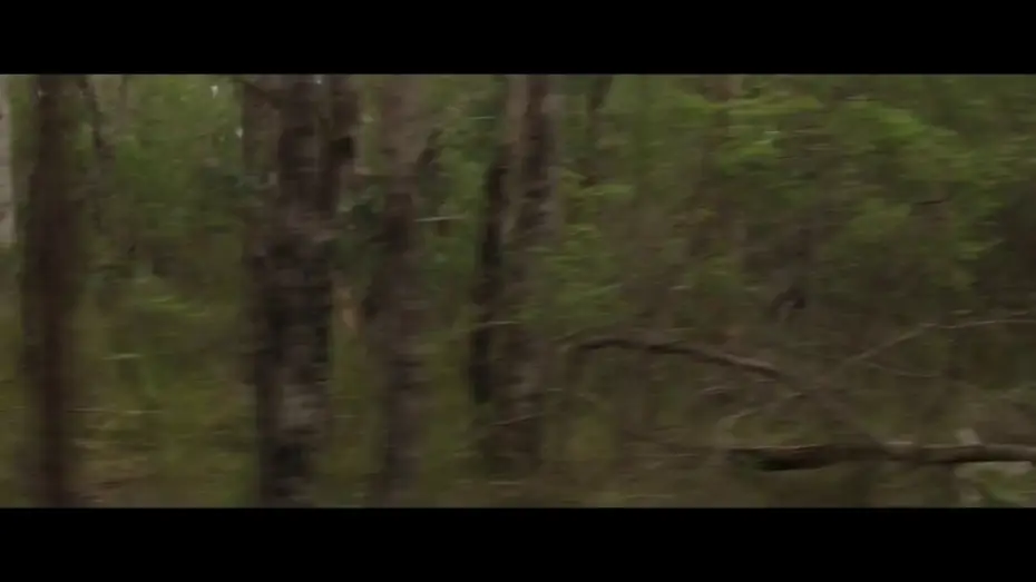 Watch film Killing Ground | Trailer #2